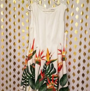 Calvin Klein Birds of Paradise Dress